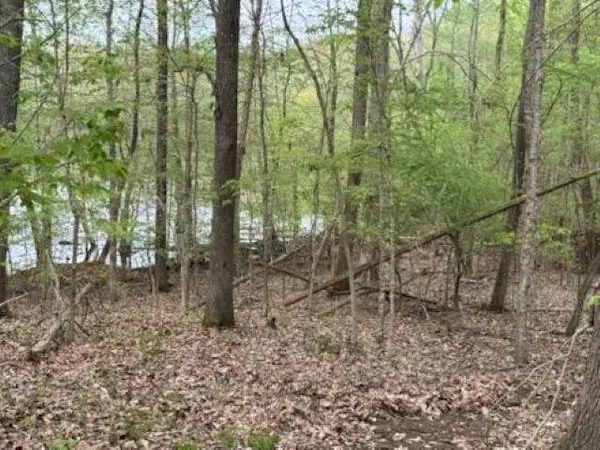 000 Motley Circle #Lot 12, Eddyville, KY 42038