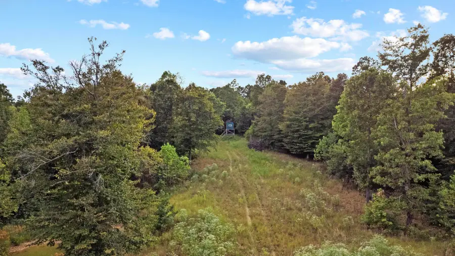 000 Rockcastle Road, Cadiz, KY 42211 - #2
