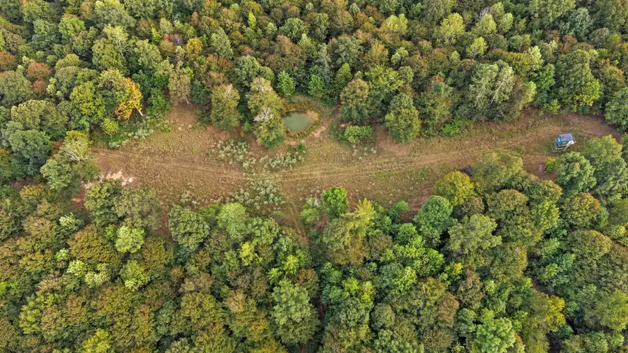 000 Rockcastle Road, Cadiz, KY 42211 - #3