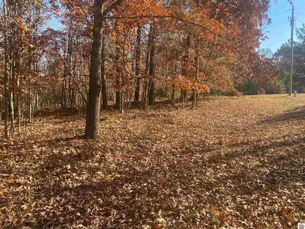 Lot 1 Faust Road, Benton, KY 42025