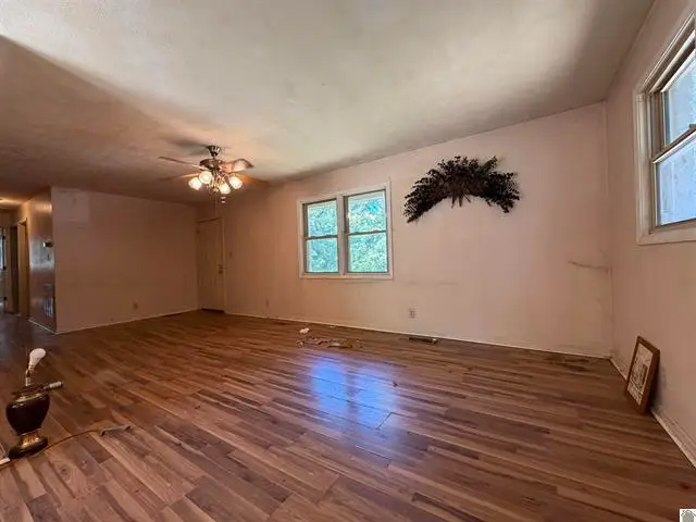 1742 Ed Mitchell Road, Princeton, KY 42445 - #2