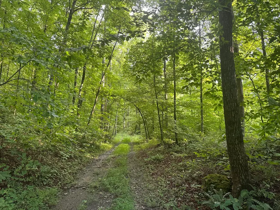 2758 Zion Road, Monticello, KY 42633 - #3