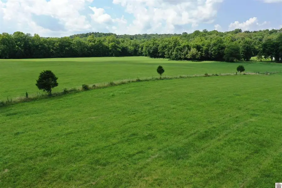 0 Turkey Knob Road, Marion, KY 42064 - #2