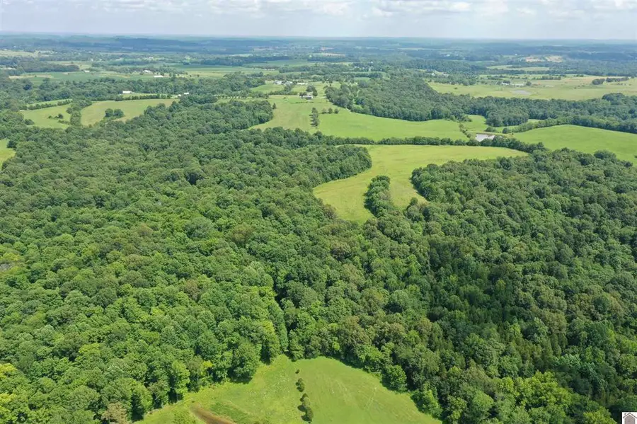 0 Turkey Knob Road, Marion, KY 42064 - #3