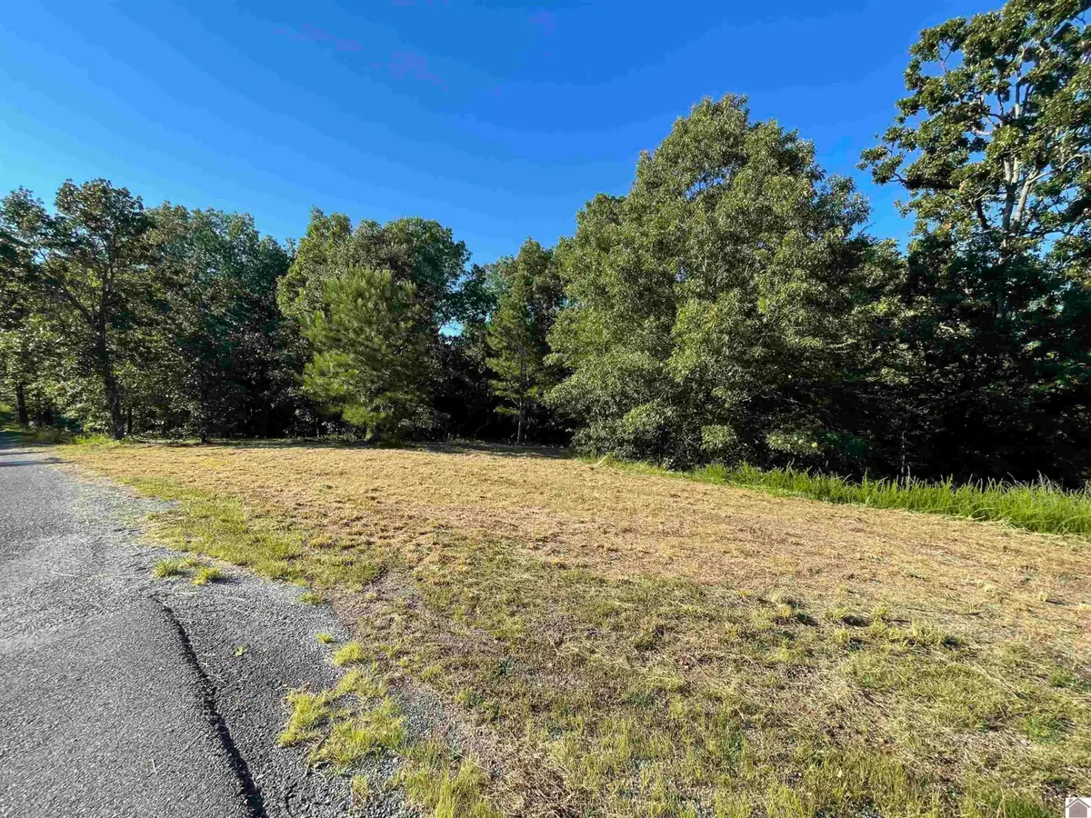 Lot 45 & 46 000 Patricia Drive, New Concord, KY 42076 - #1