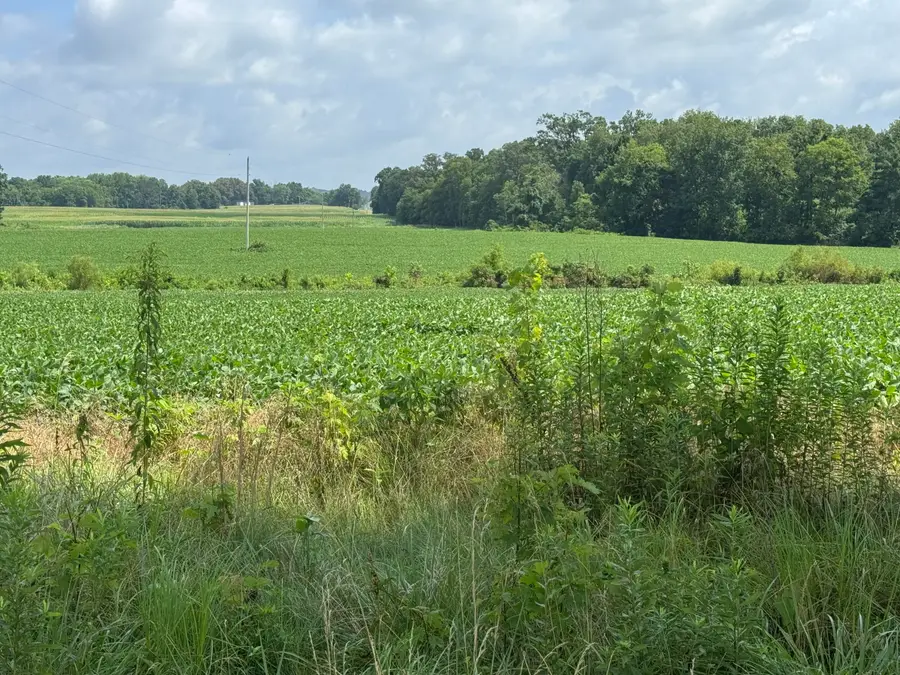 Lot 1 Zander Road, Hopkinsville, KY 42240 - #2
