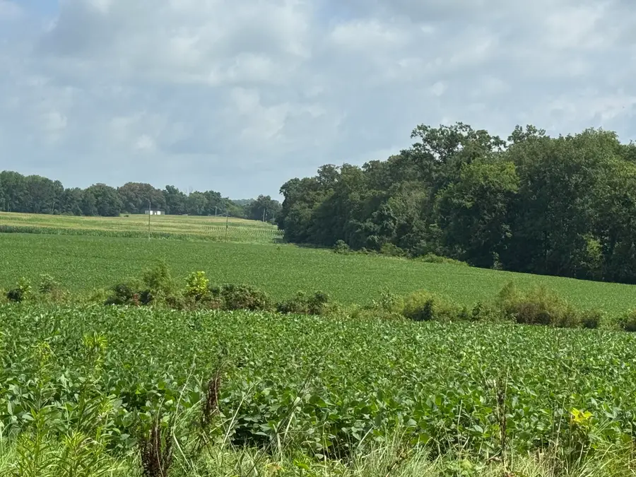 Lot 1 Zander Road, Hopkinsville, KY 42240 - #3