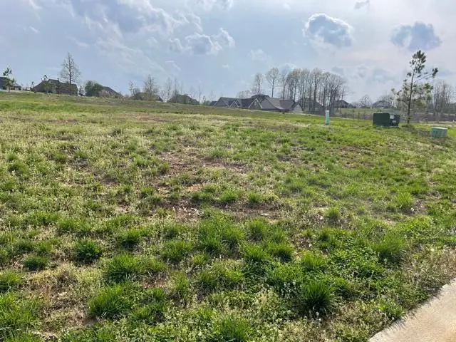 120 Low Ridge Lane, Paducah, KY 42003 - #3