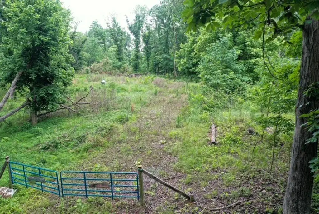 449 Baker Lane, Cadiz, KY 42211 - #1
