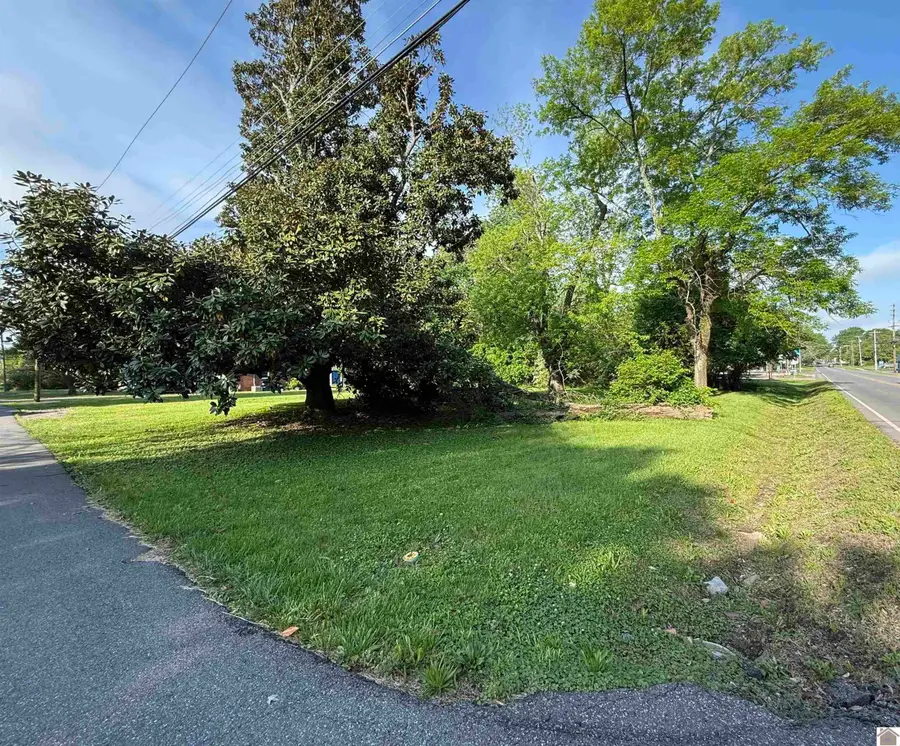 805 Sycamore Street, Murray, KY 42071 - #3