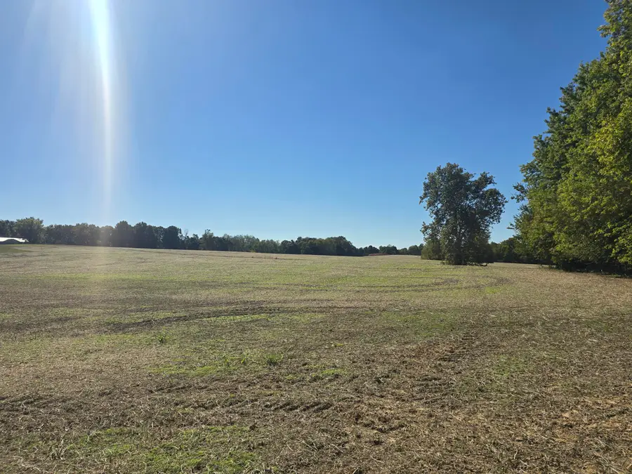 Tract IV N State Route 295, Kuttawa, KY 42055 - #2