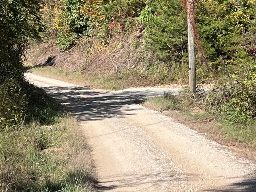 492 Lowder Fork, South Shore, KY 41175 - #3