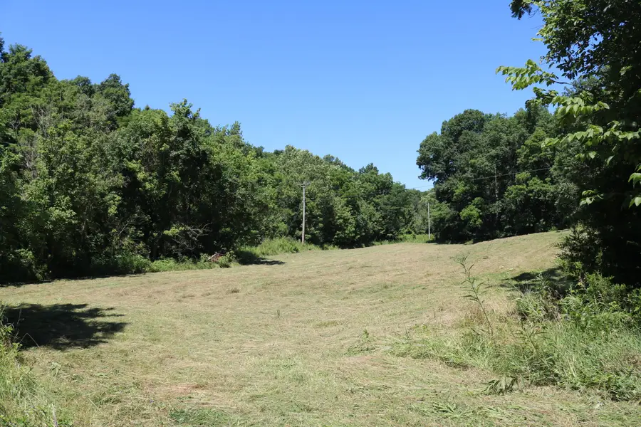 1-A Dog Walk Road, Carlisle, KY 40311 - #2