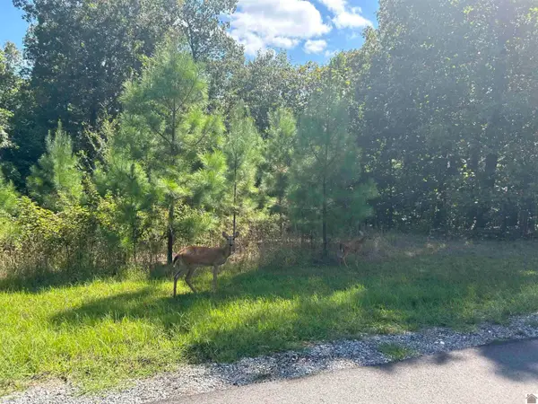 150 Centerview Road, Murray, KY 42071