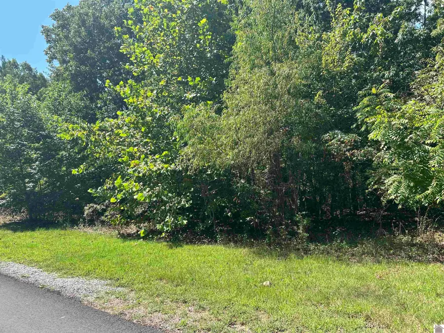 150 Centerview Road, Murray, KY 42071 - #2