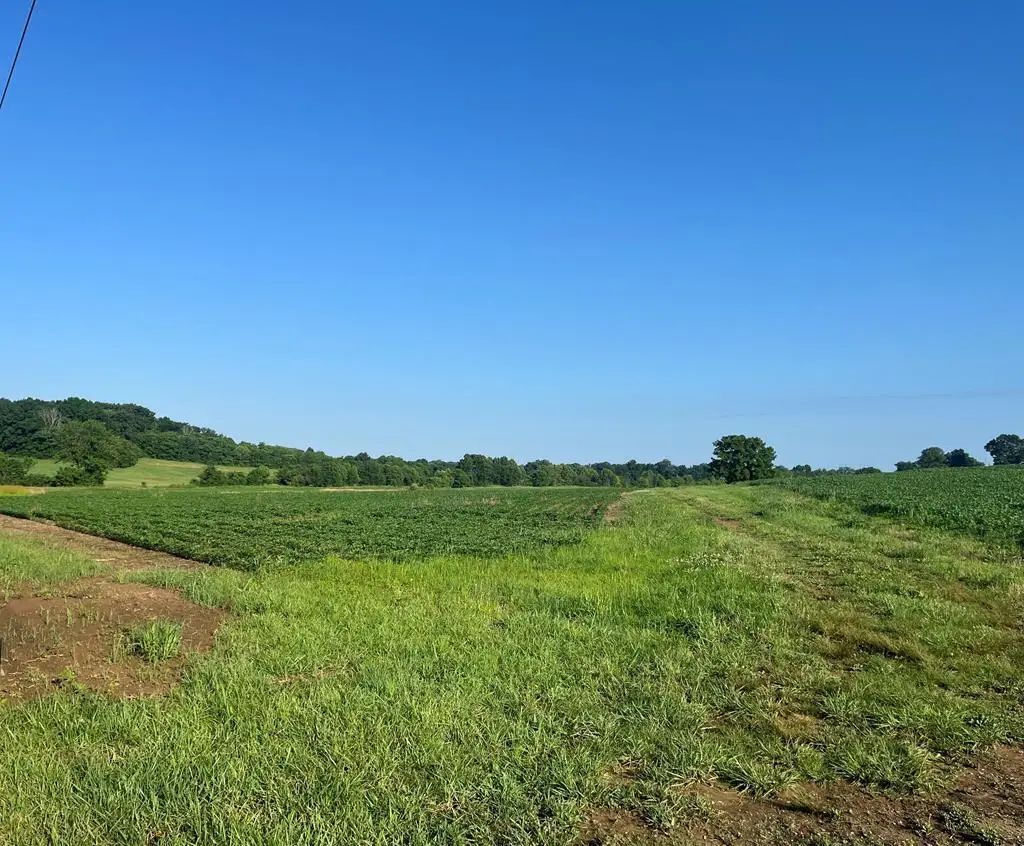 2012 Eagle Way Byp Way, Hopkinsville, KY 42240 - #1