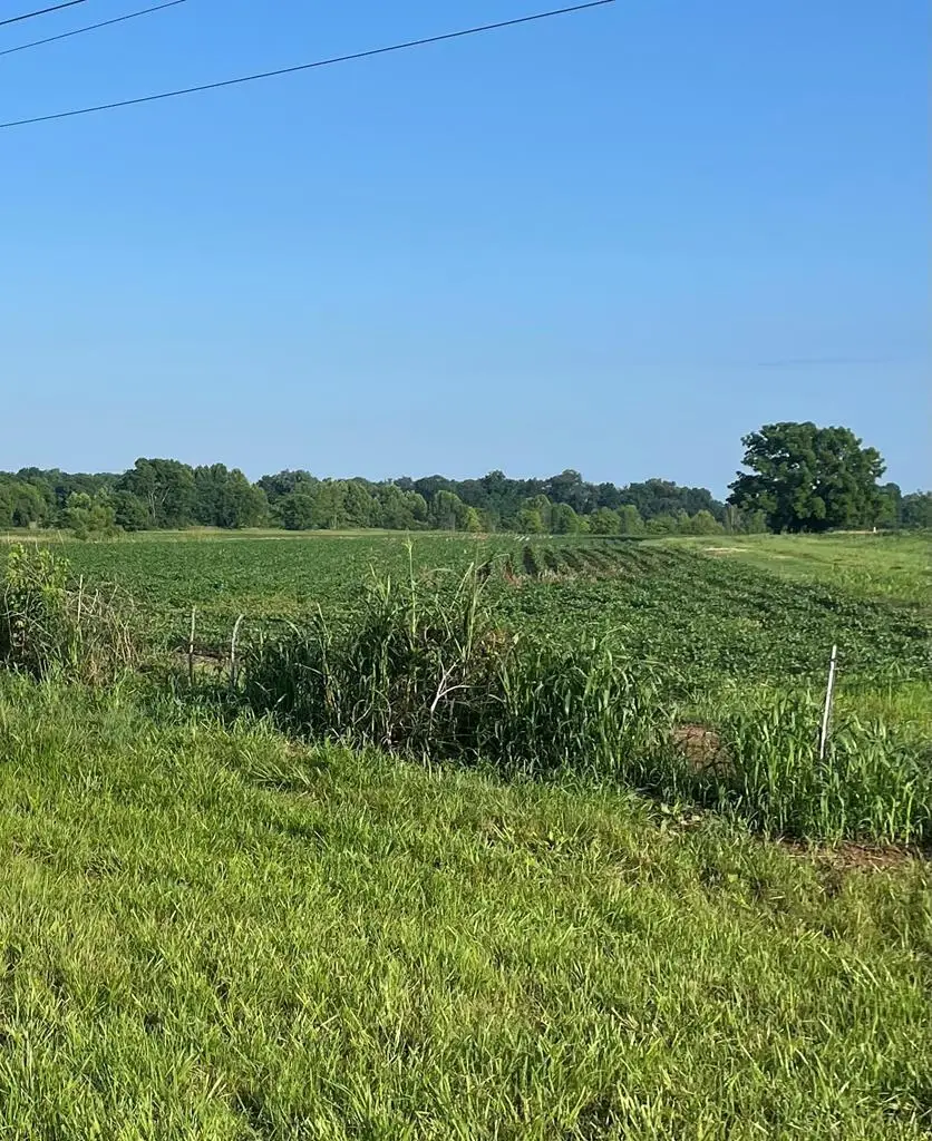 2012 Eagle Way Byp Way, Hopkinsville, KY 42240 - #3