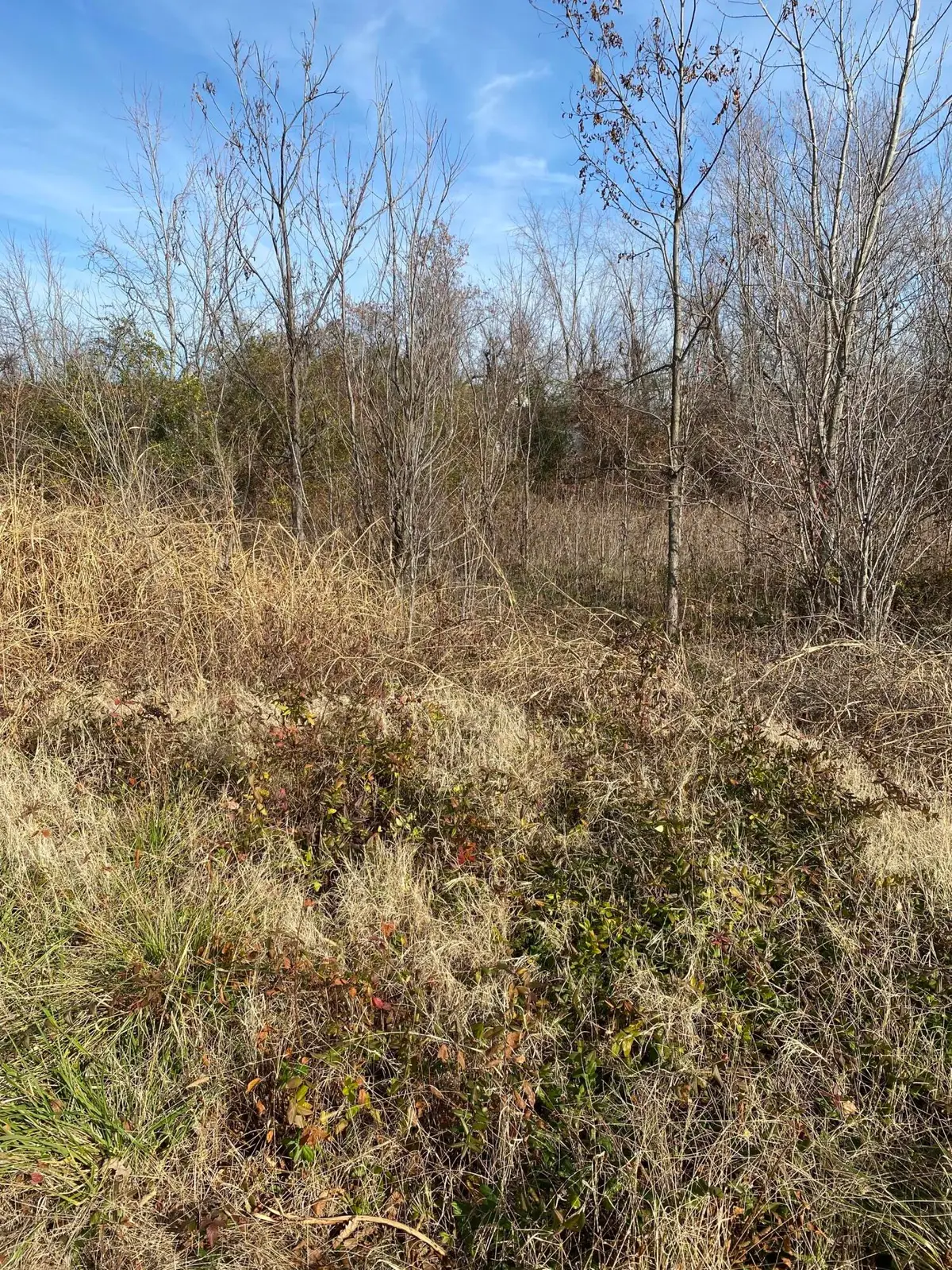 330 Grace Road, Fulton, KY 42041 - #1