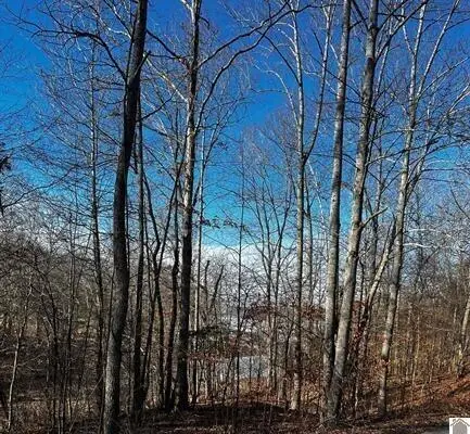 Lot 36 Canton Heights 2 Circle, Cadiz, KY 42211 - #1