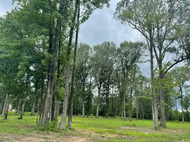 2630 Allison Drive, Paducah, KY 42003 - #1