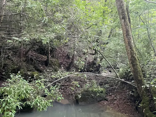 0 Little Rock Creek Road, Strunk, KY 42649