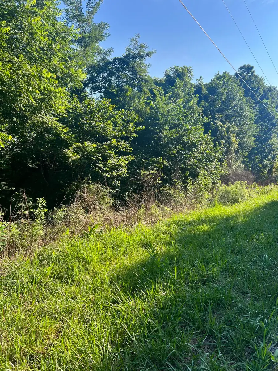 9999 Hwy 2004, McKee, KY 40447 - #3