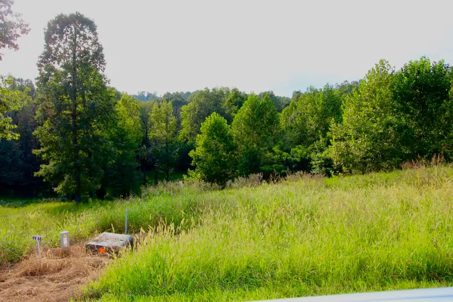 Lot 68 Kelsey Joe Lane, Eddyville, KY 42038 - #2
