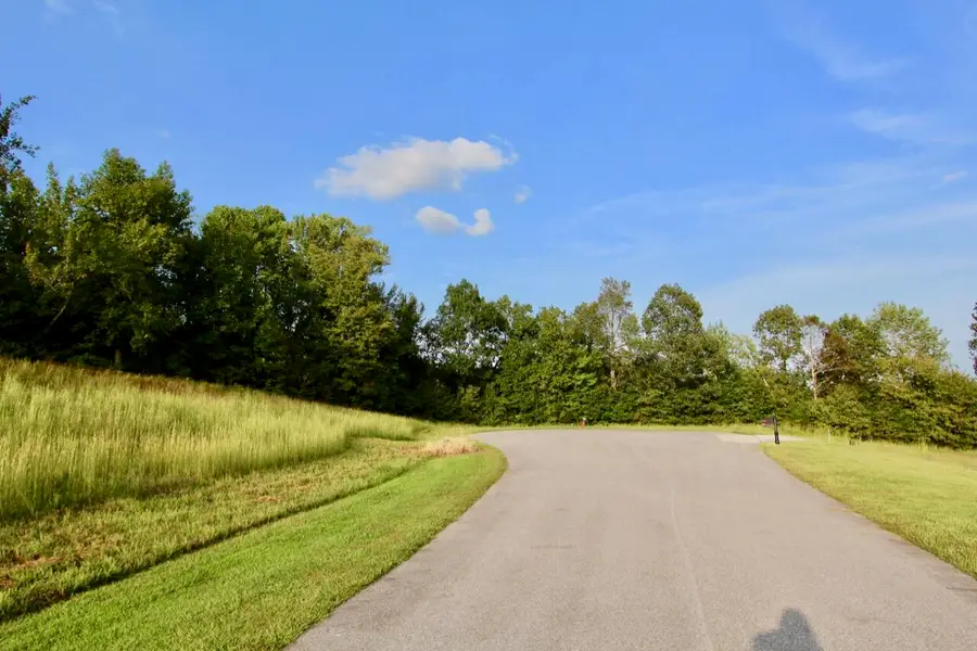 Lot 82  Kelsey Joe Lane, Eddyville, KY 42038 - #3