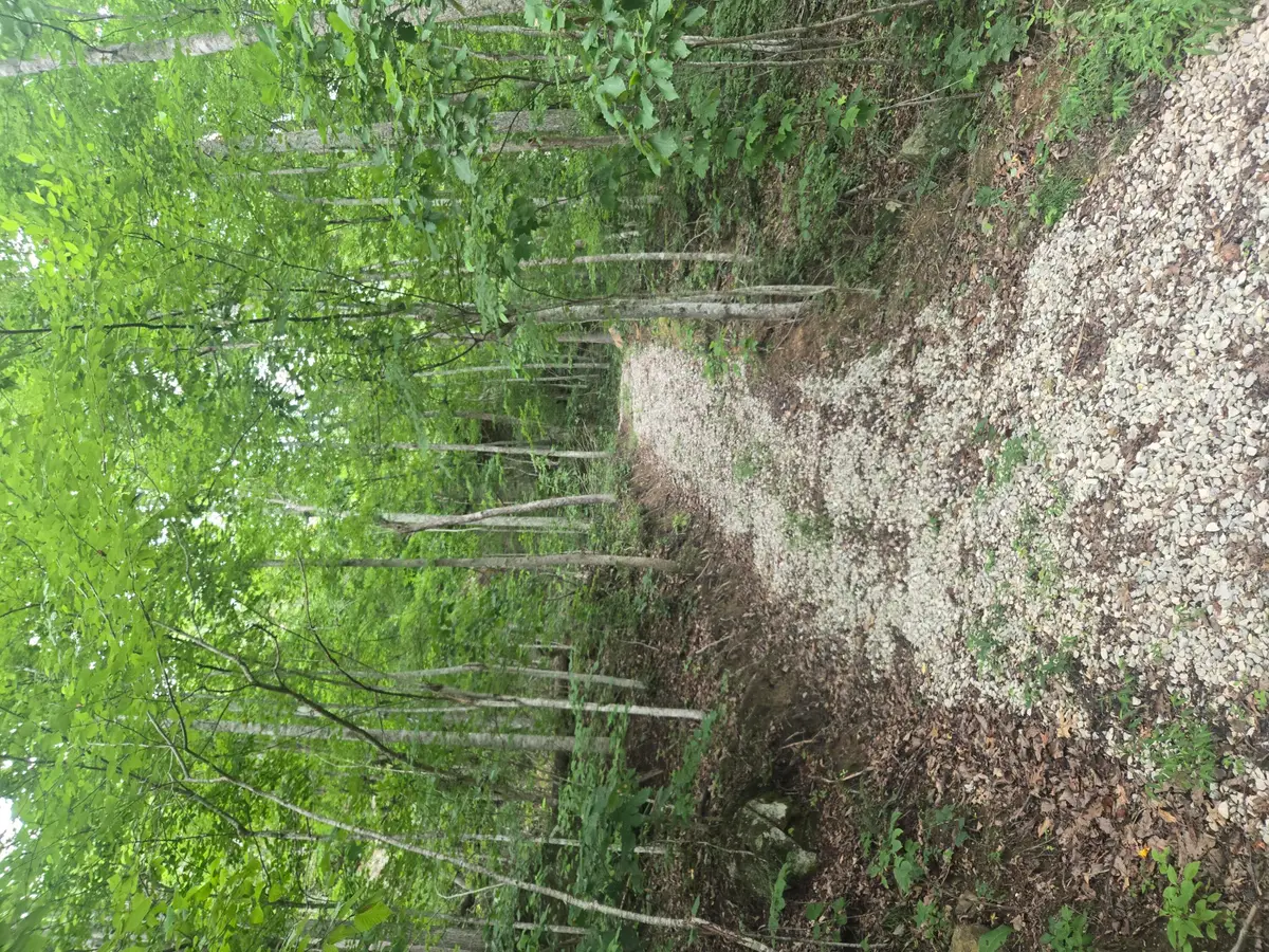 9999 Getaways Road #Lot 3, Stanton, KY 40380 - #1