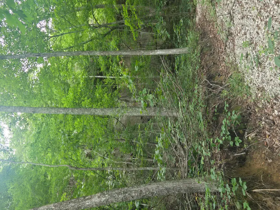 9999 Getaways Road #Lot 3, Stanton, KY 40380 - #3