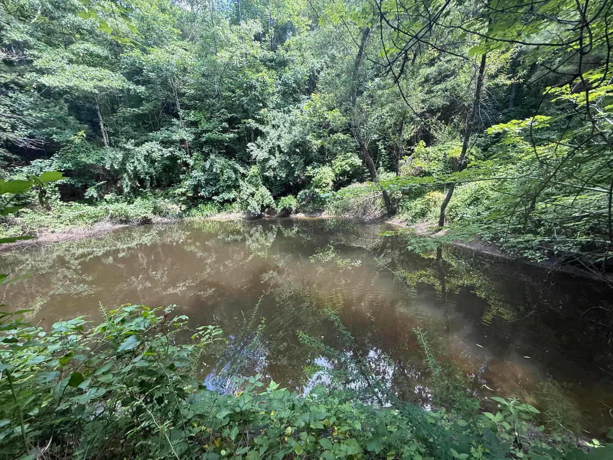 1191 W Adkins-arthur Road, Somerset, KY 42501 - #1