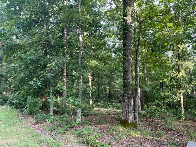 lot 99 Woodduck Lane Lane, Murray, KY 42071 - #1