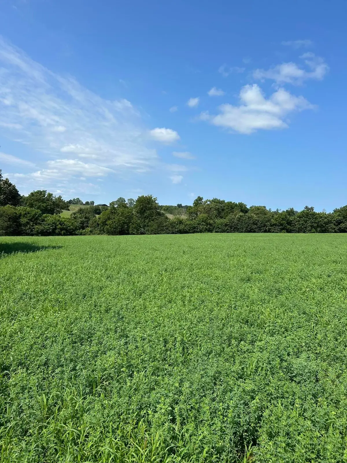 Lot #2 Lucy Lane, Cynthiana, KY 41031 - #1