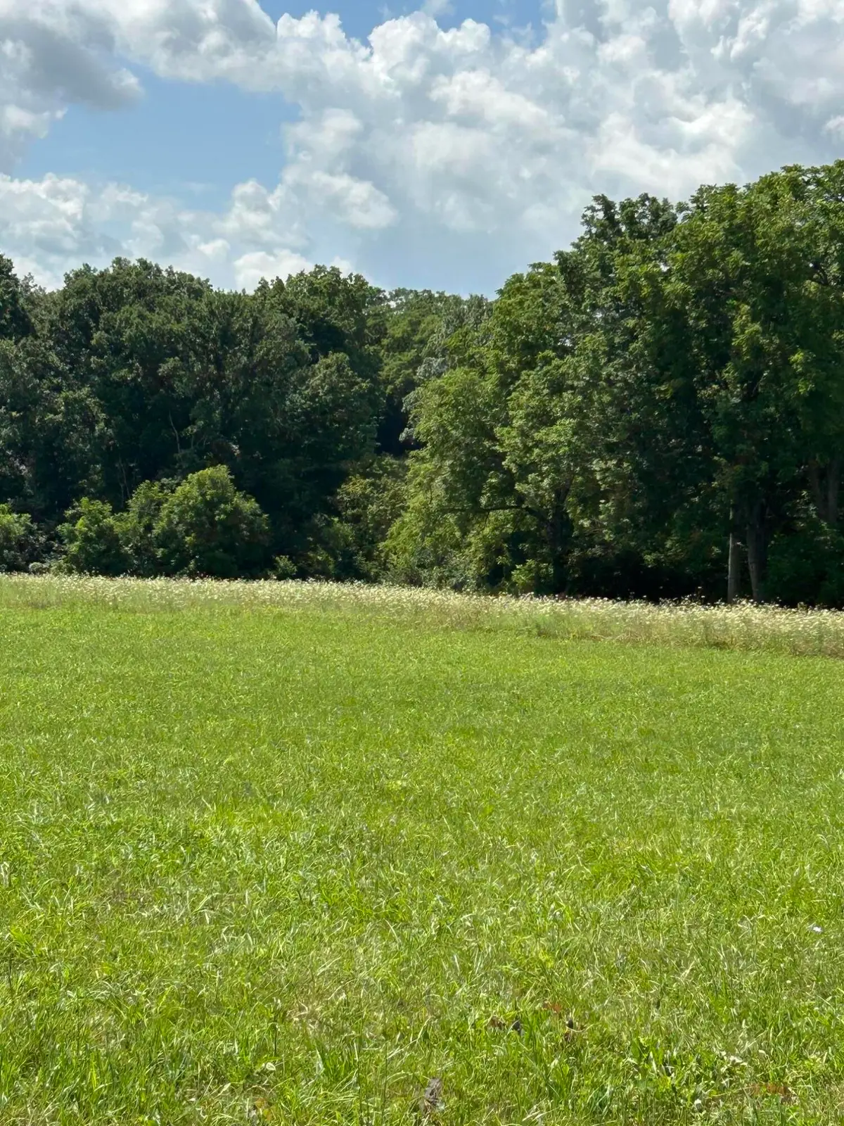 Lucy Lane Lot 3  Lucy Lane, Cynthiana, KY 41031 - #1