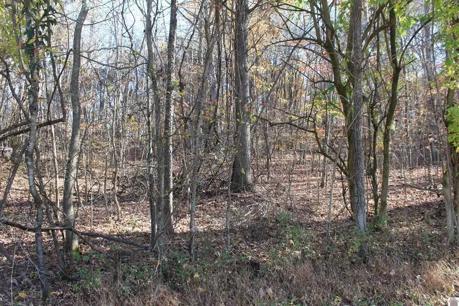Lot 49 Backstrom Heights Road #63d-49, Eddyville, KY 42038 - #3