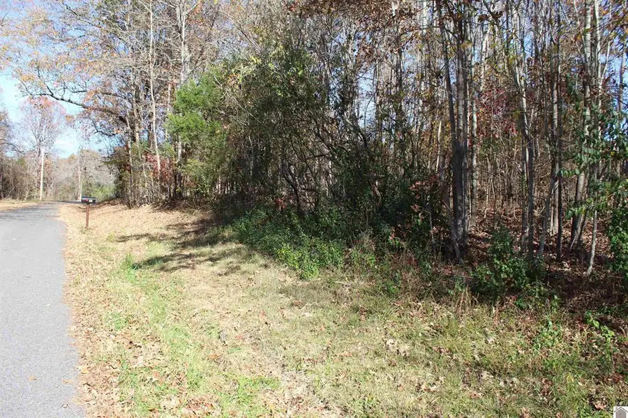Lot 50 Backstrom Heights Road #63d-50, Eddyville, KY 42038 - #3