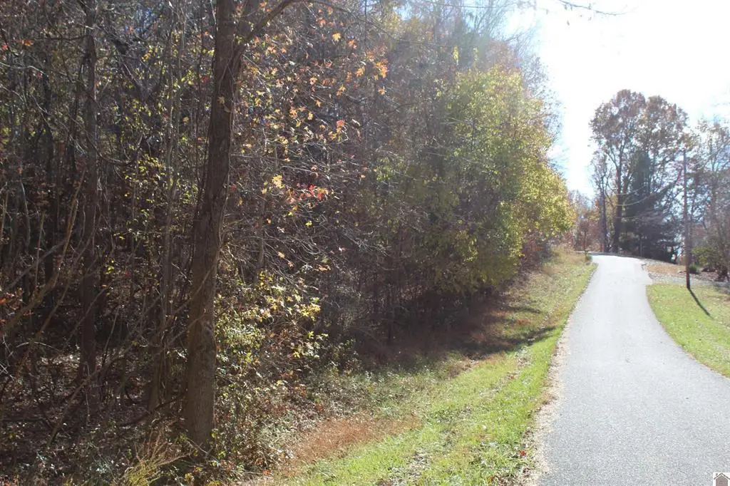 Lot 51 Backstrom Heights Road #63d-51, Eddyville, KY 42038 - #1
