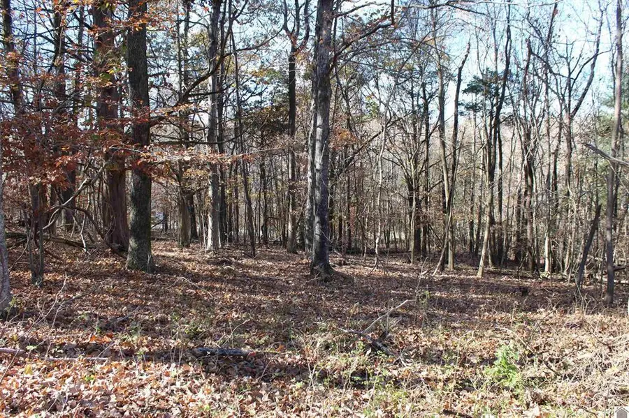 Lot 51 Backstrom Heights Road #63d-51, Eddyville, KY 42038 - #3
