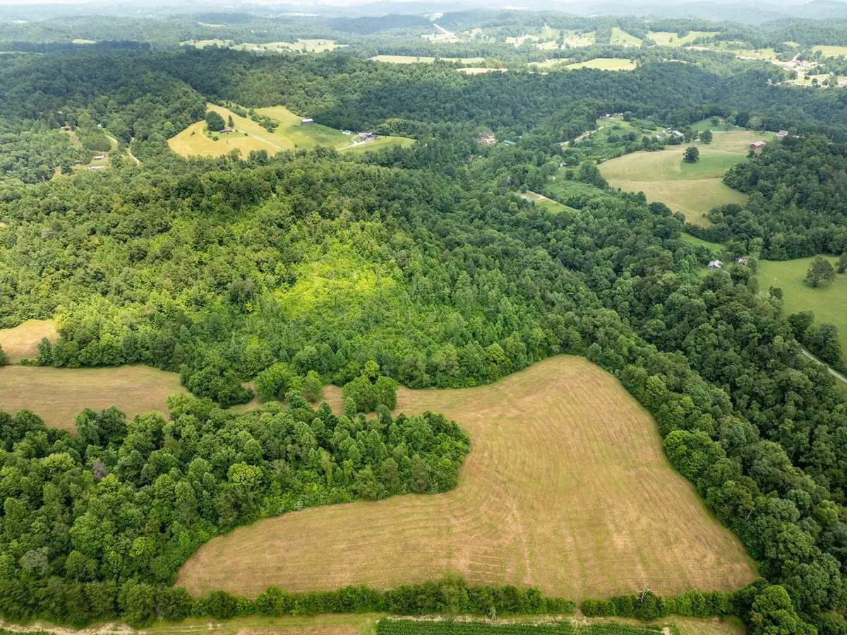 1990 State Highway 556, Sandy Hook, KY 41171 - #1