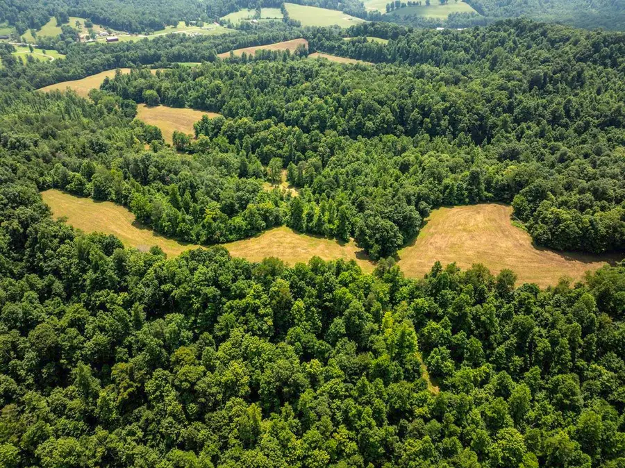 1990 State Highway 556, Sandy Hook, KY 41171 - #2