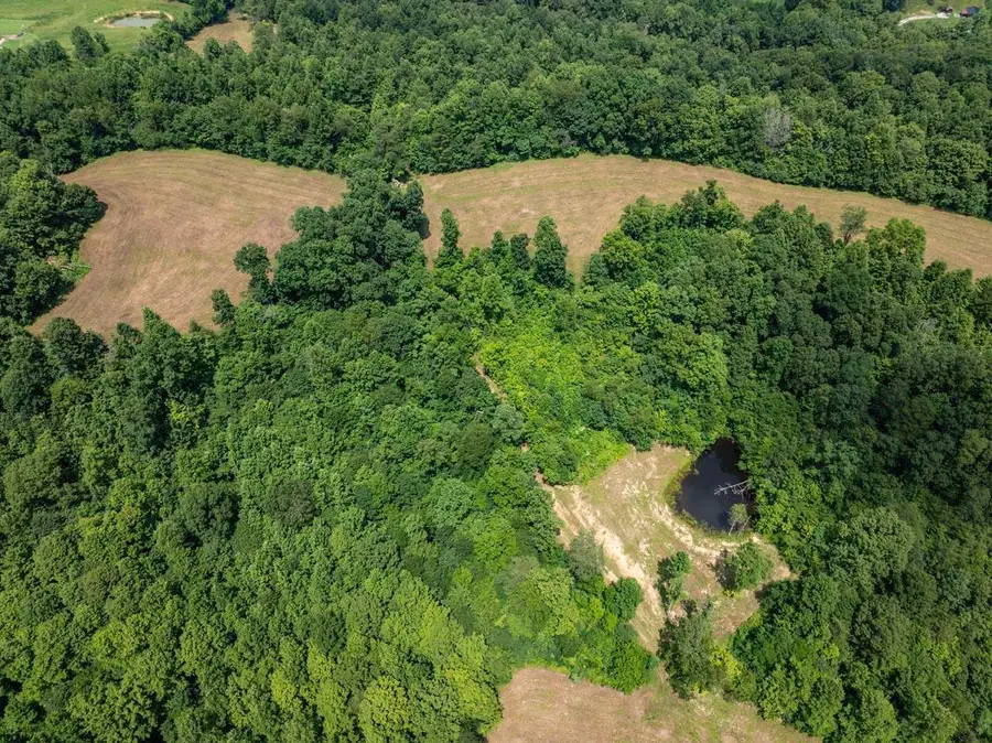 1990 State Highway 556, Sandy Hook, KY 41171 - #3