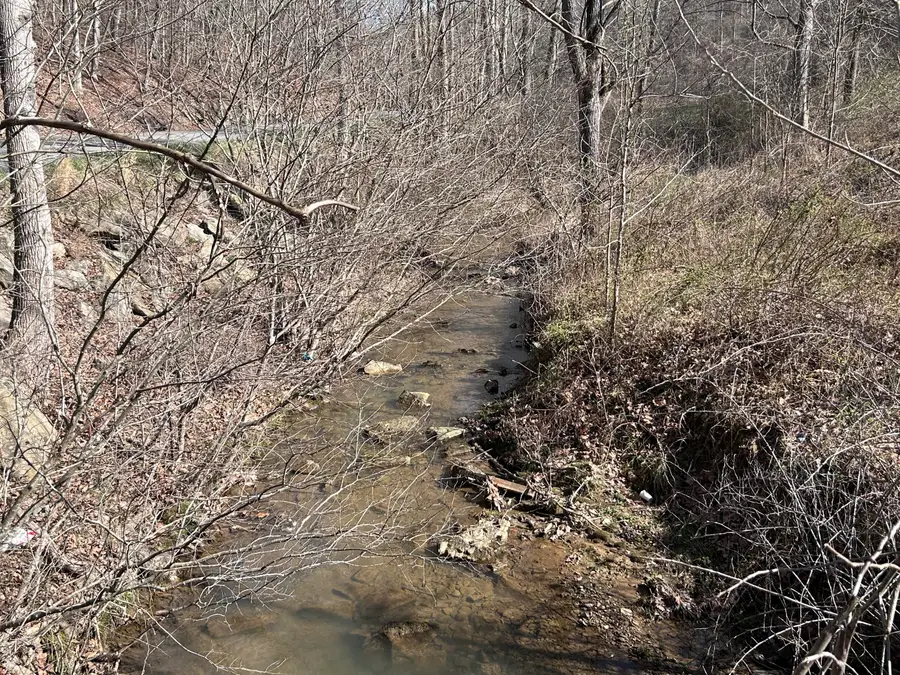 10389 Kentucky 1304, Barbourville, KY 40906 - #3