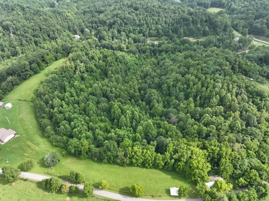 9998 Hurst School Road, McKee, KY 40447 - #3