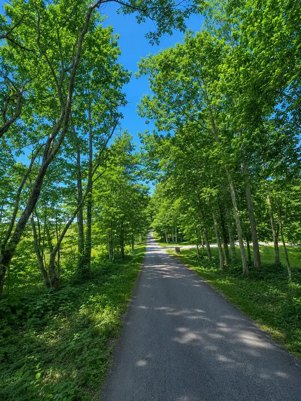 94 Roberts Lane, Nancy, KY 42544
