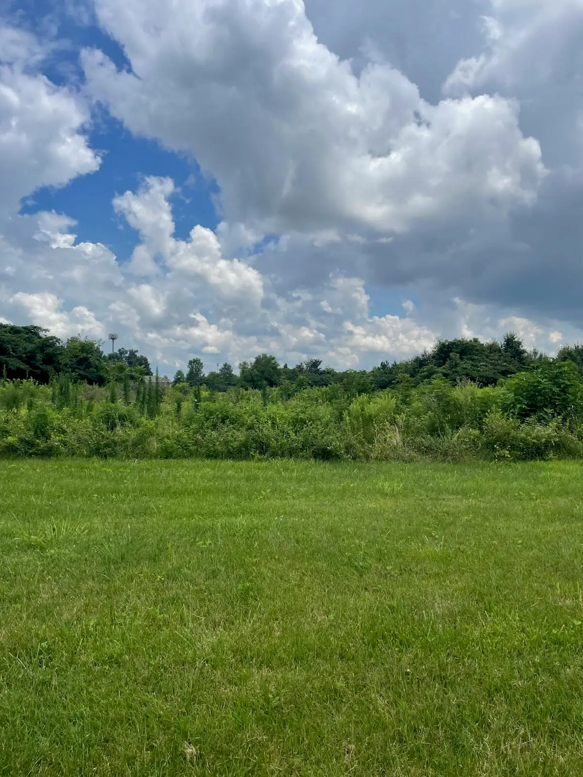 3460 New Holt Rd Road, Paducah, KY 42001 - #1