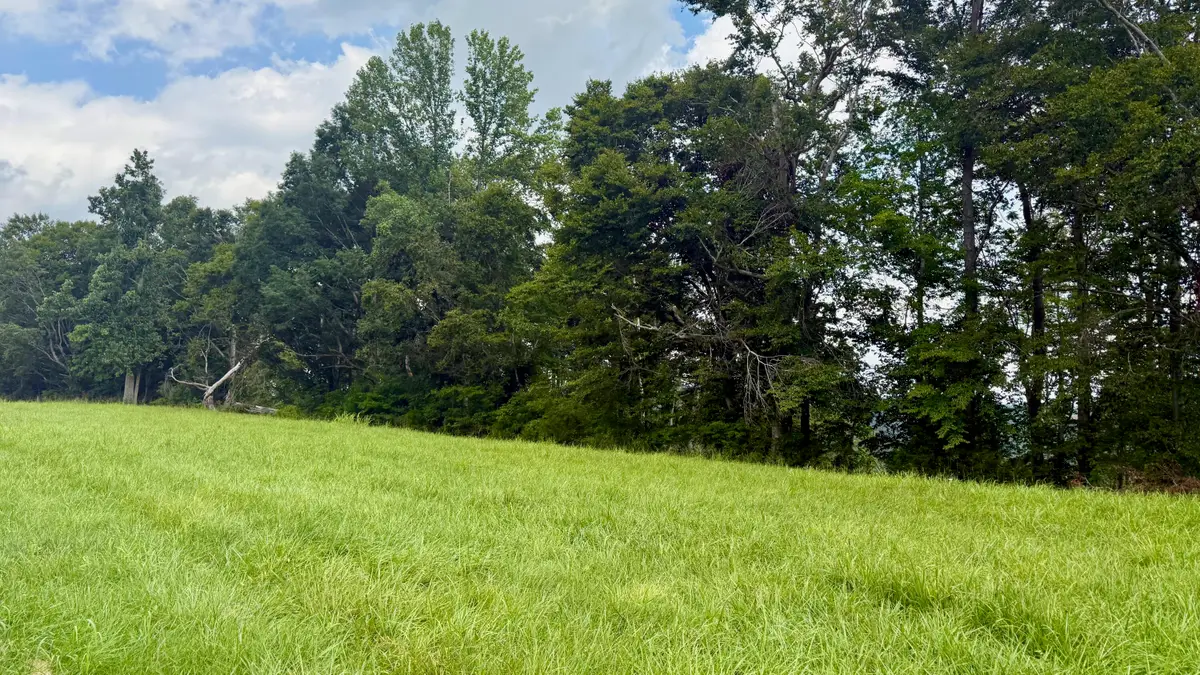 73 Meadows Loop, Russell Springs, KY 42642 - #1
