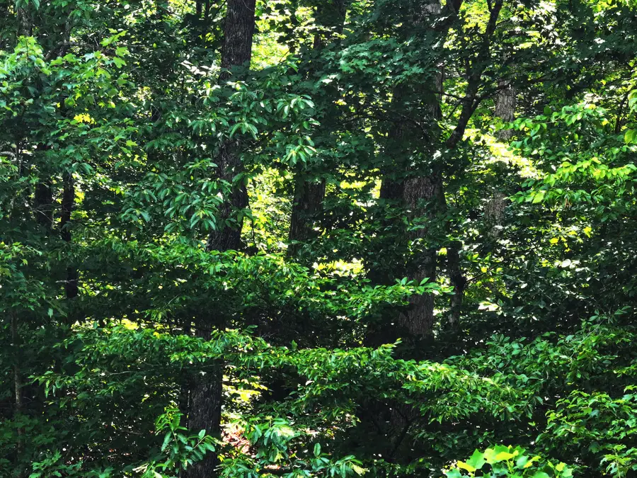 3000 Miller Creek Road, Ravenna, KY 40472 - #2