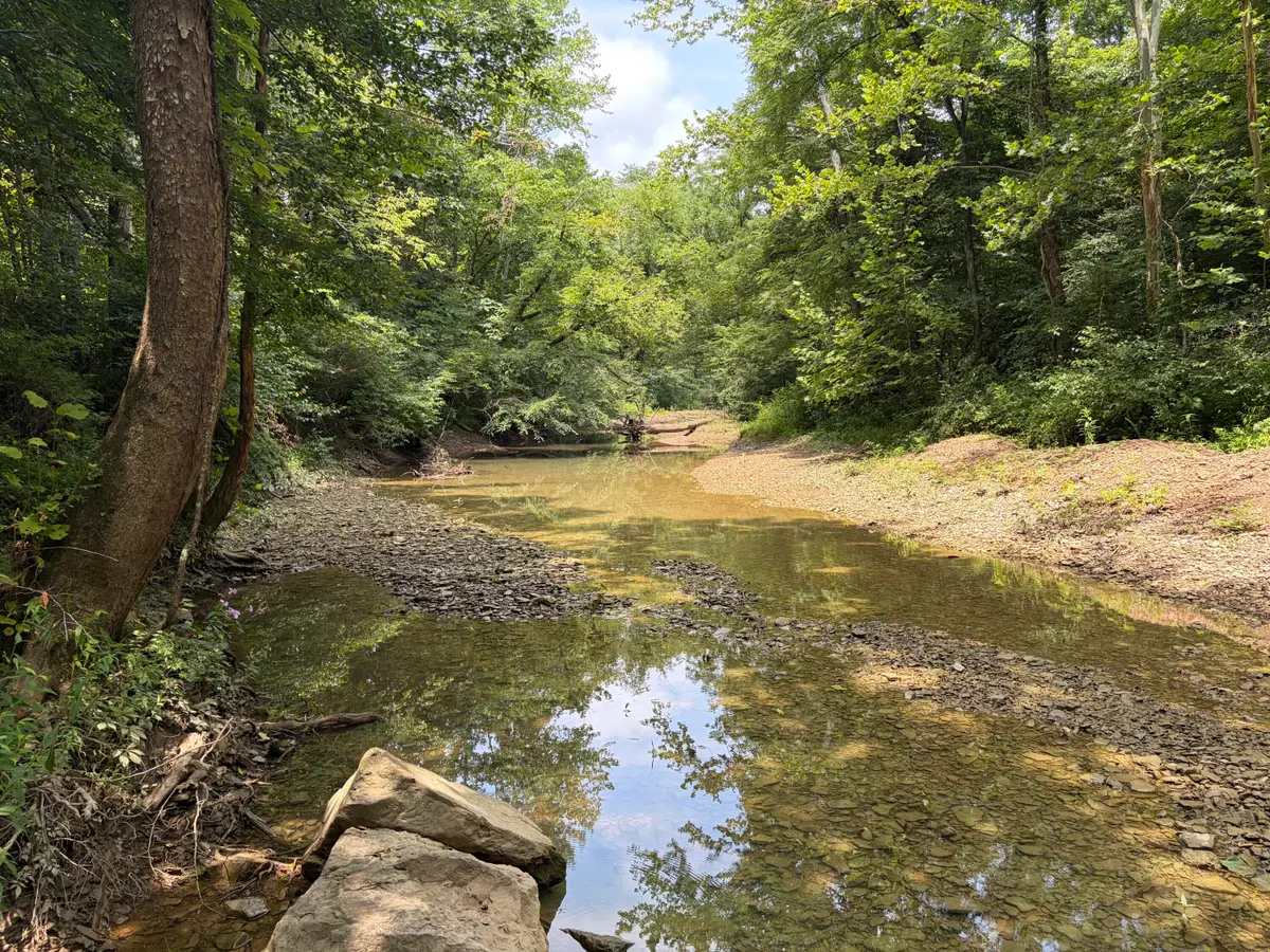 399 Whitaker Cemetery Rd Road, Somerset, KY 42503 - #1