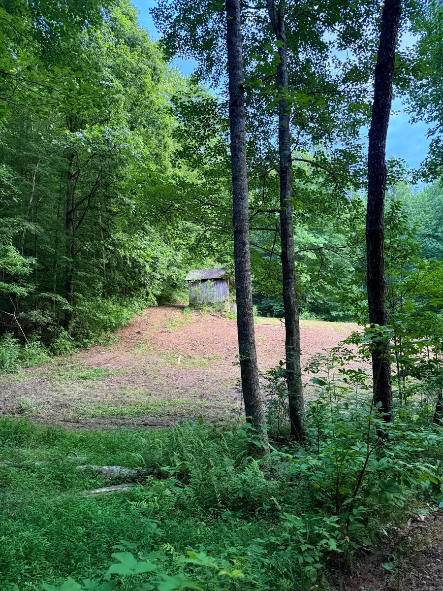 0  Mainous Road, Booneville, KY 41314 - #2