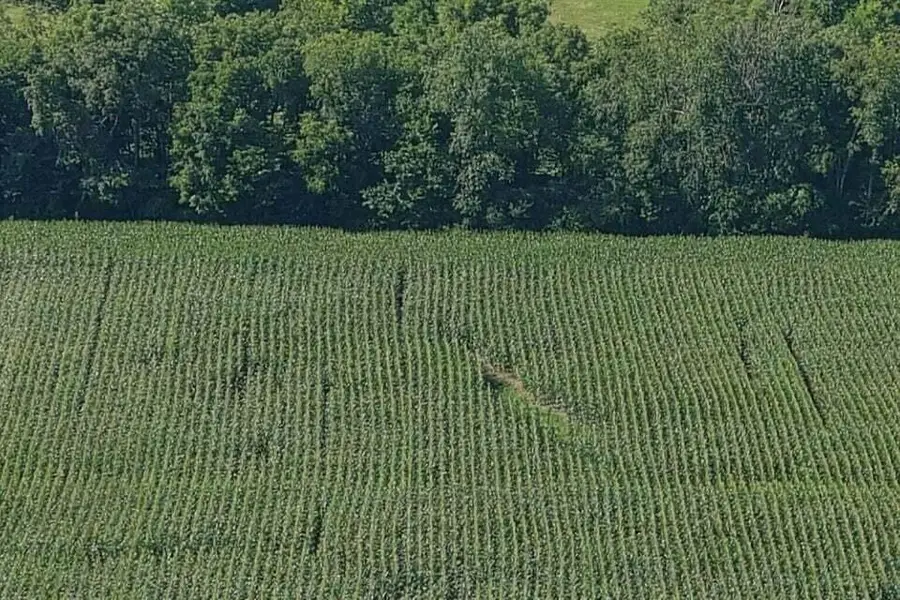 3330 Kentucky 1770, Stanford, KY 40484 - #2